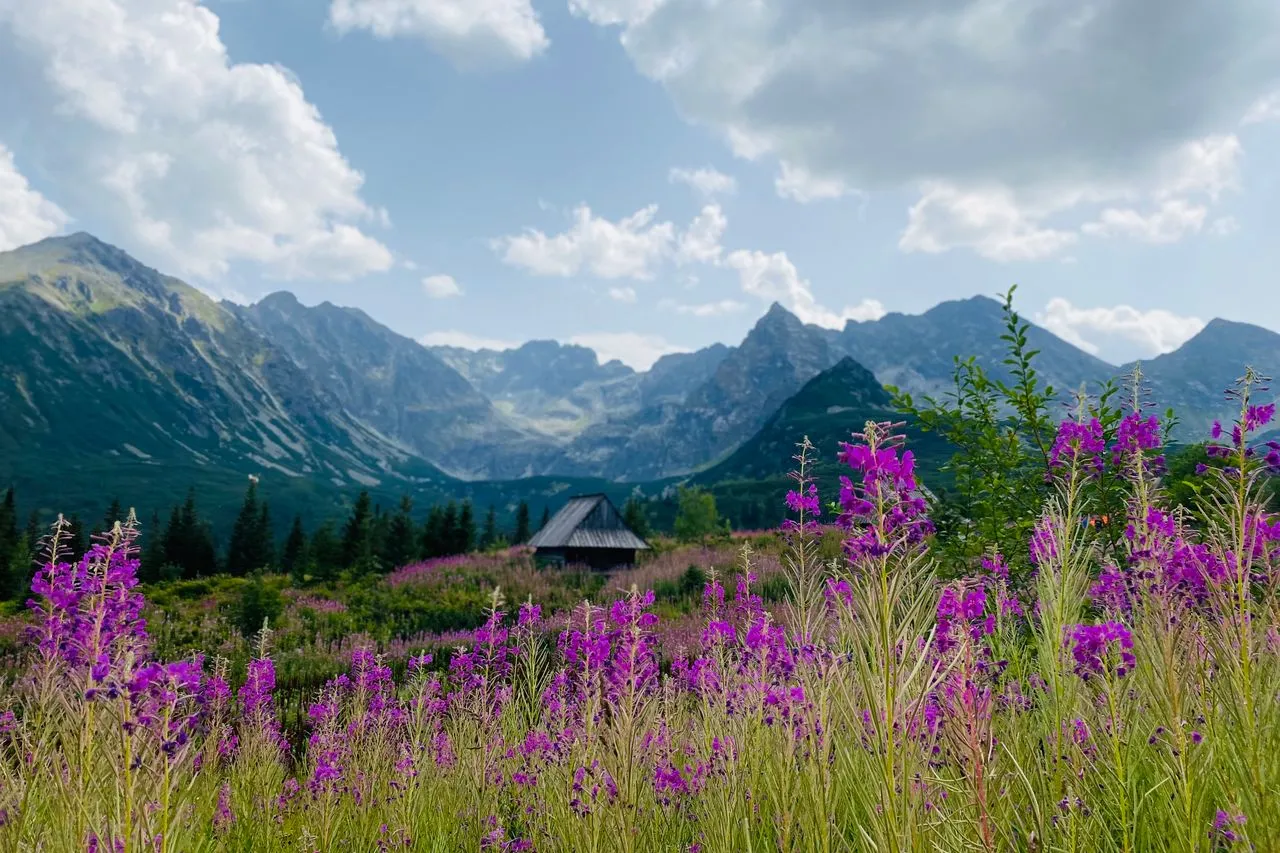 Tatry Wysokie